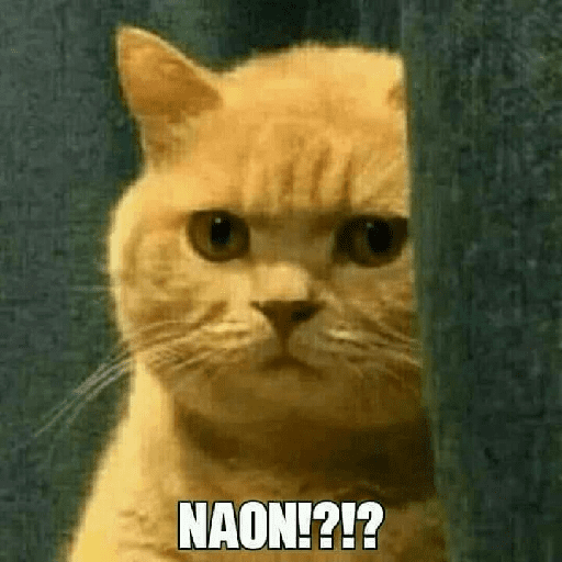 Meme kucing oren 1