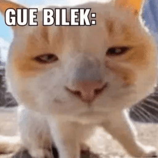 Meme kucing oren 23
