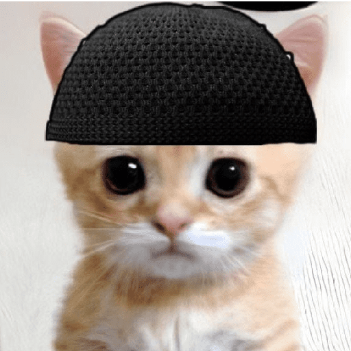 Meme kucing oren 21