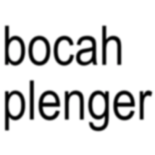 Kata-kata plenger teks 1