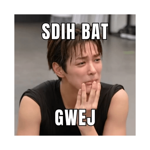 Cortis meme stiker wa