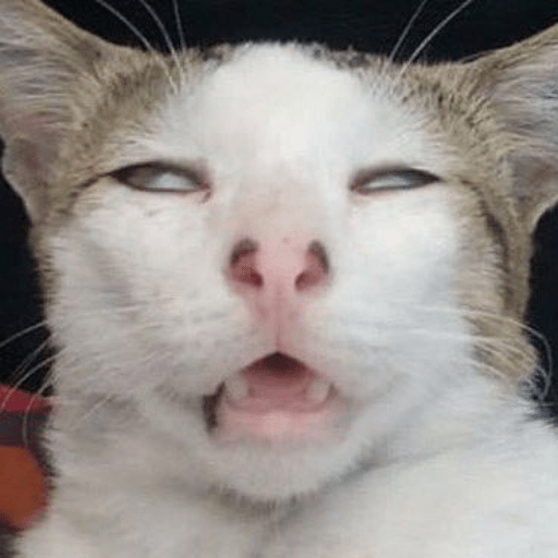 Meme kucing / cat plenger