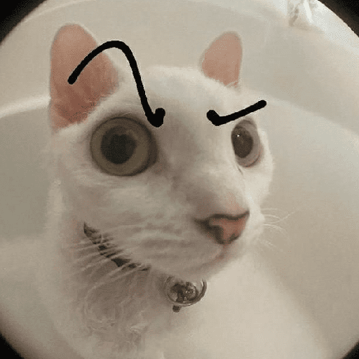 Meme sus 6