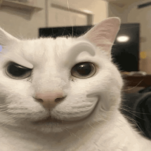 Meme sus 8