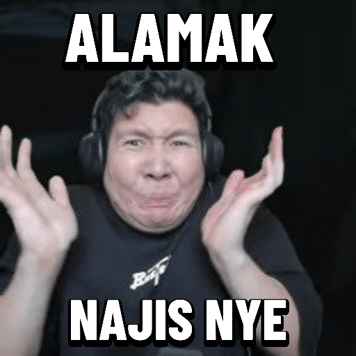 Windah basudara meme 
