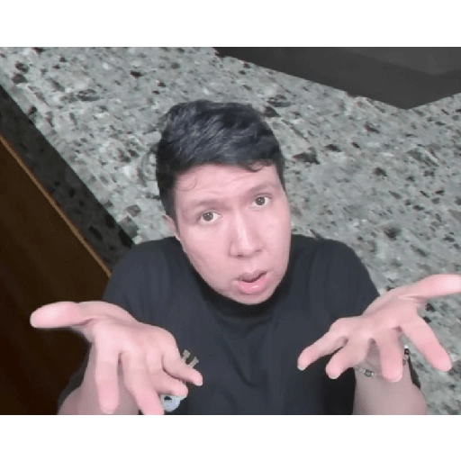 Windah basudara memes 3