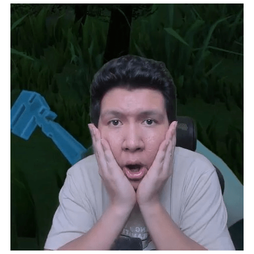 Windah basudara memes 7