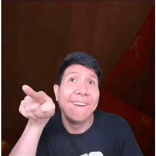 Windah basudara memes 5