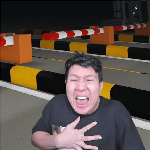 Windah basudara memes 14