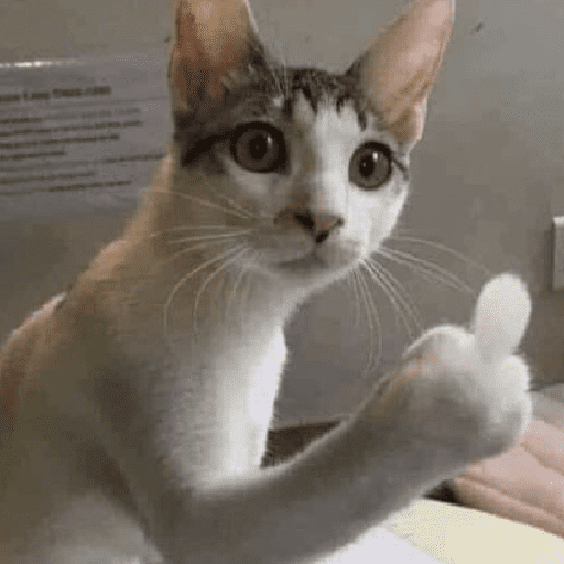 Kucing lucu 