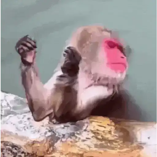 Reaction tiktok meme gif 17