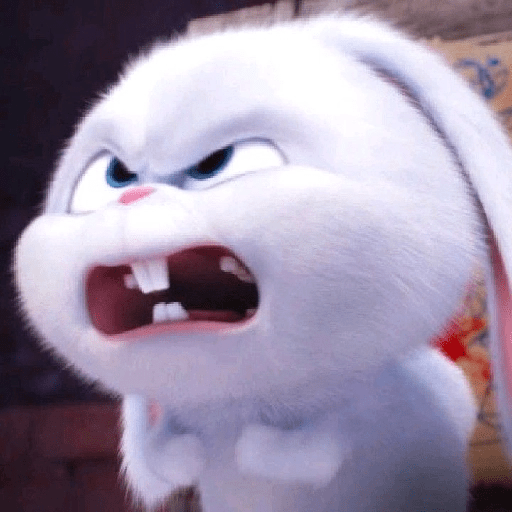 Cute bunny kelinci 