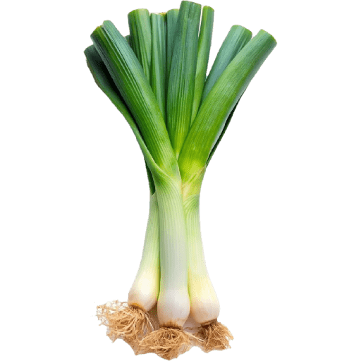 Vegetable / sayur 9