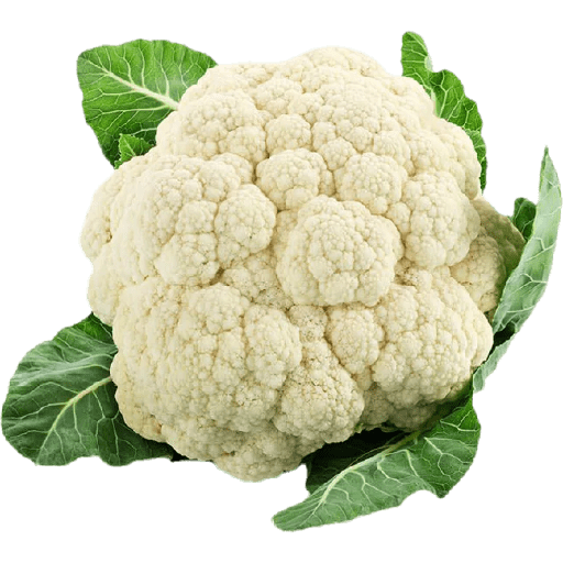 Vegetable / sayur 5