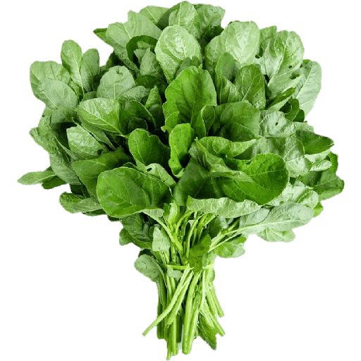 Vegetable / sayur 10