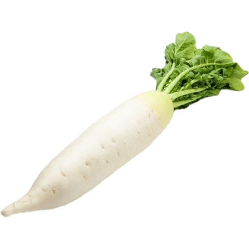 Vegetable / sayur 11