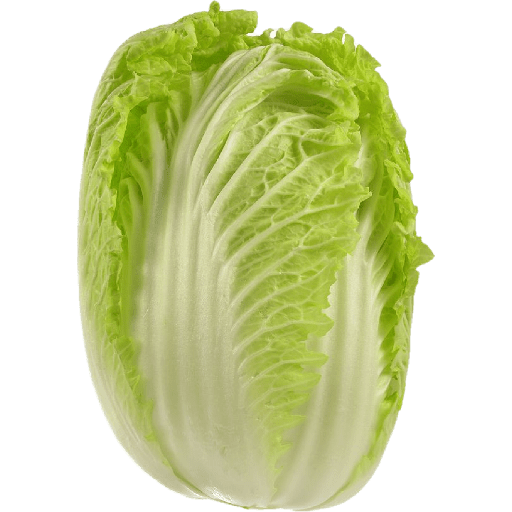 Vegetable / sayur 12