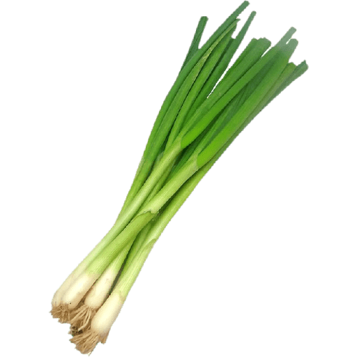 Vegetable / sayur 14