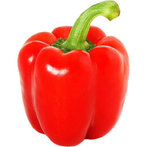 Vegetable / sayur 2