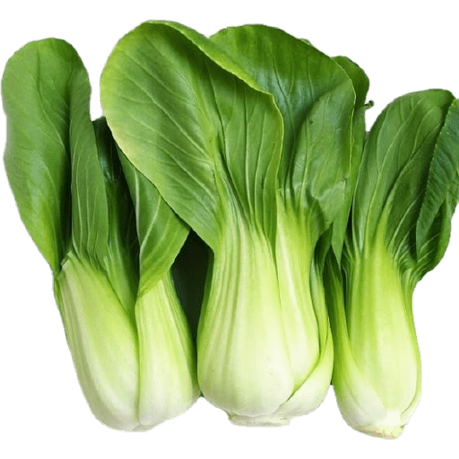 Vegetable / sayur 18