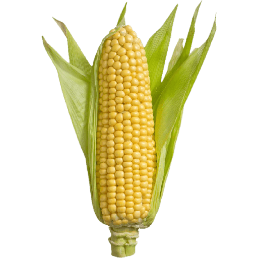 Vegetable / sayur 4
