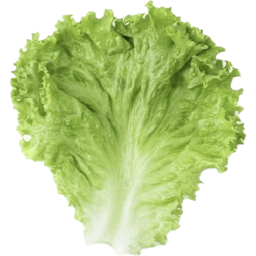 Vegetable / sayur 21