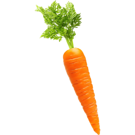 Vegetable / sayur 22