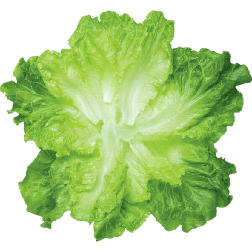 Vegetable / sayur 23