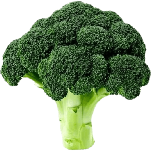 Vegetable / sayur 3
