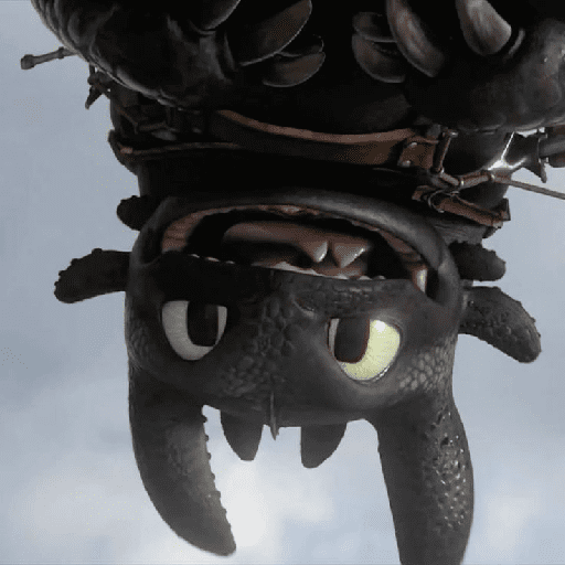 How to train your dragon 13