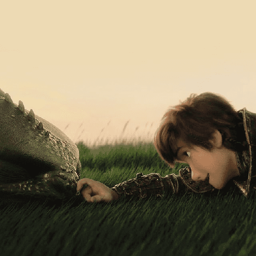 How to train your dragon 18