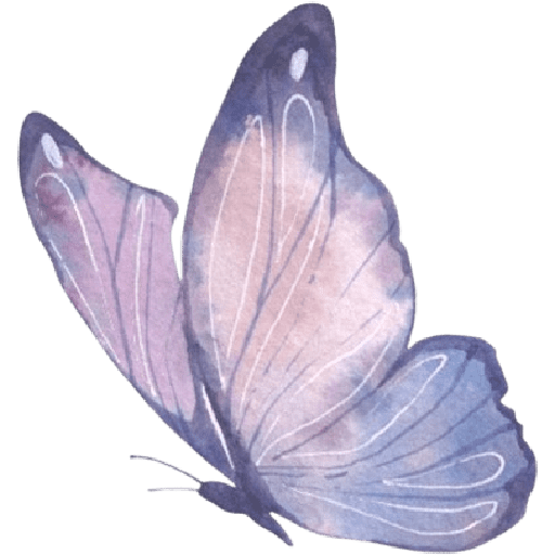 Kupu kupu / butterfly 