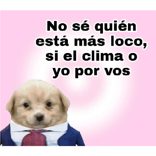 Cutes 27