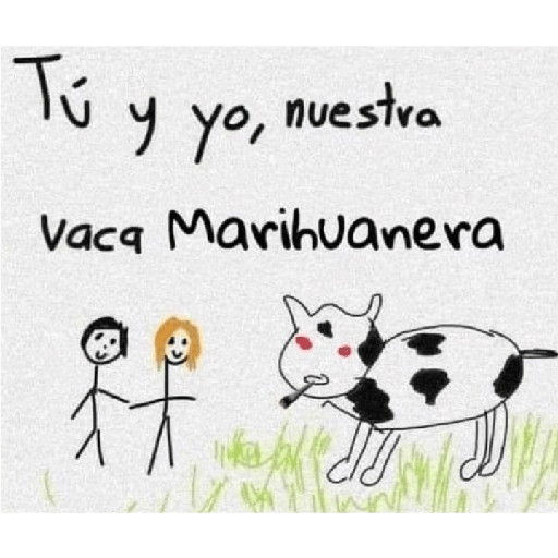 Cutes 13