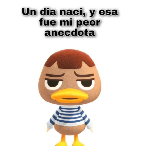 Cutes 29