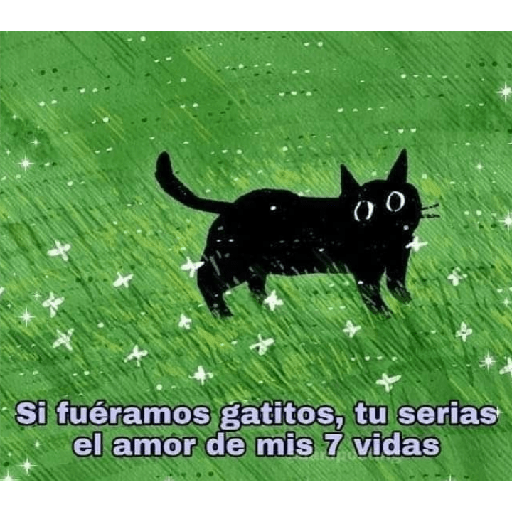 Cutes 12