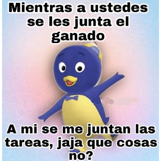 Cutes 28