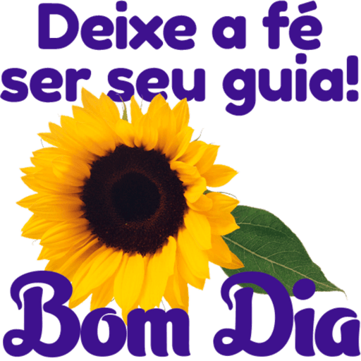 Memes e Frases 6