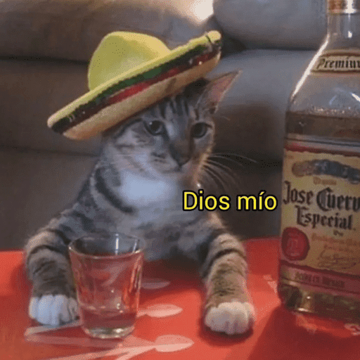 Memes e Frases 26
