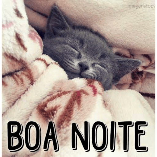 Memes e Frases 7