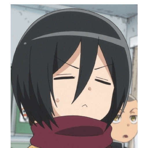 Mikasa Ackerman 5