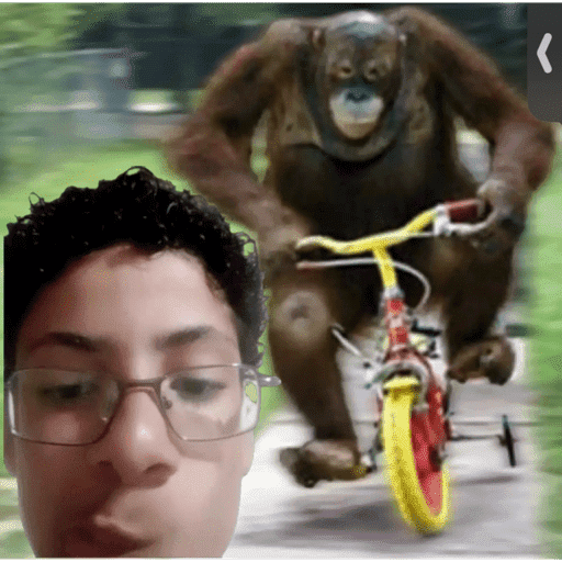 Kkkk 29