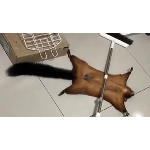 Klñnkk
