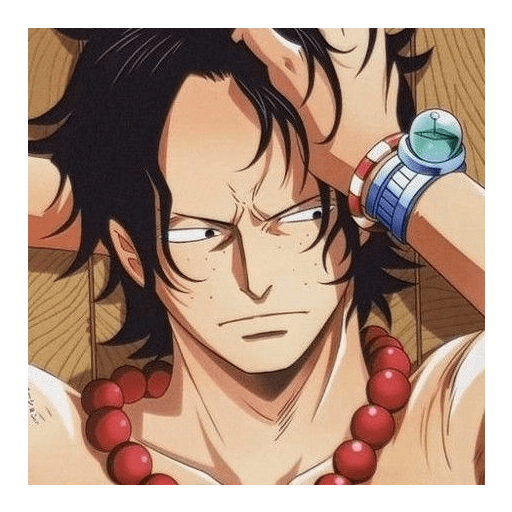 Portgas D. Ace 11