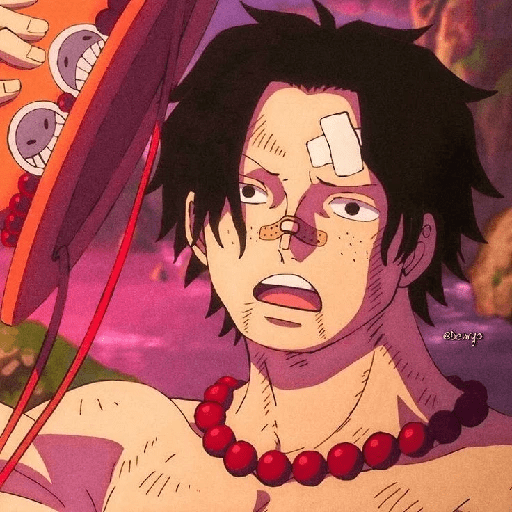 Portgas D. Ace 13