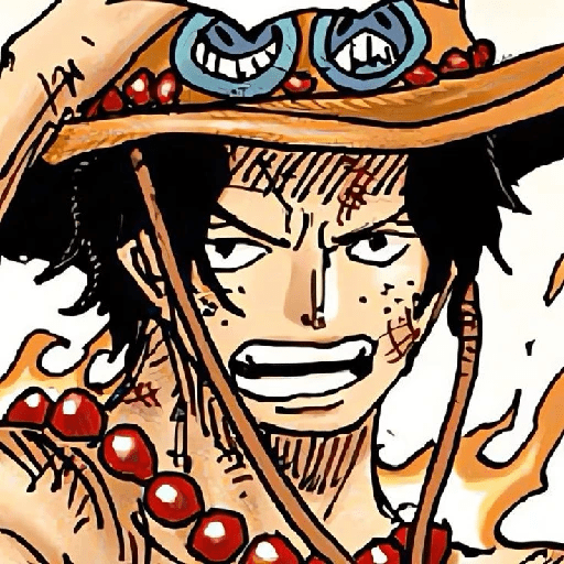 Portgas D. Ace 20