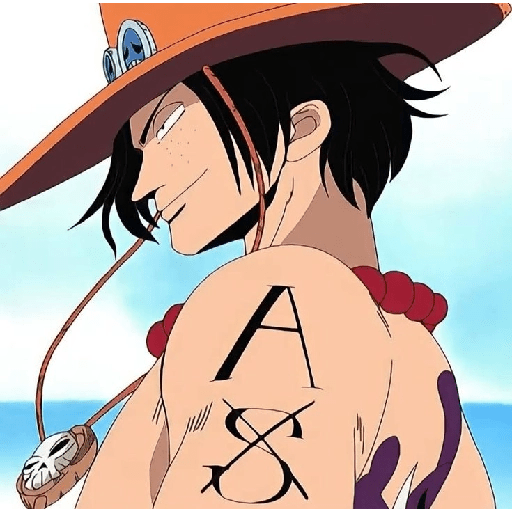 Portgas D. Ace 22
