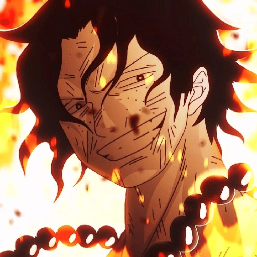 Portgas D. Ace 25