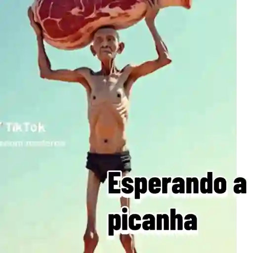 Animadas 19