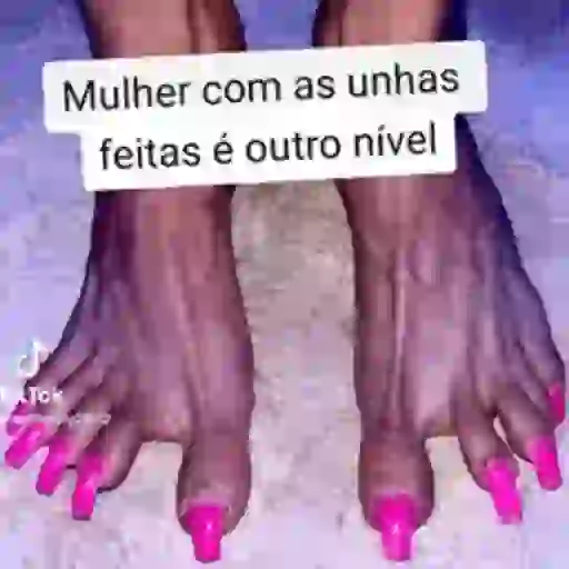 Animadas 26